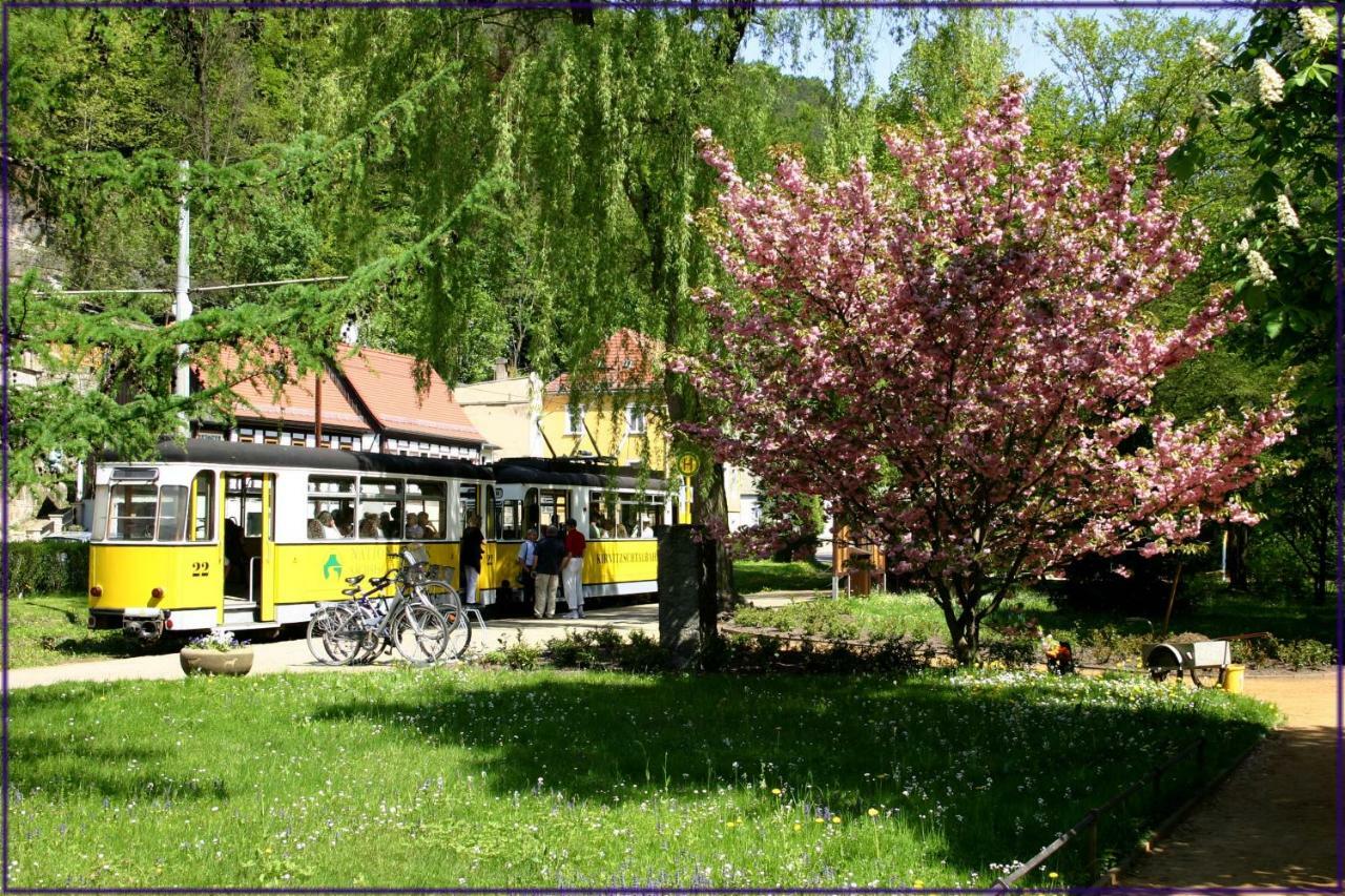 Apartamento Ferienhaus Elbufer 83 Bad Schandau Exterior foto