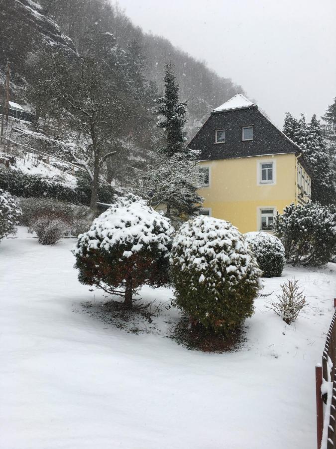 Apartamento Ferienhaus Elbufer 83 Bad Schandau Exterior foto