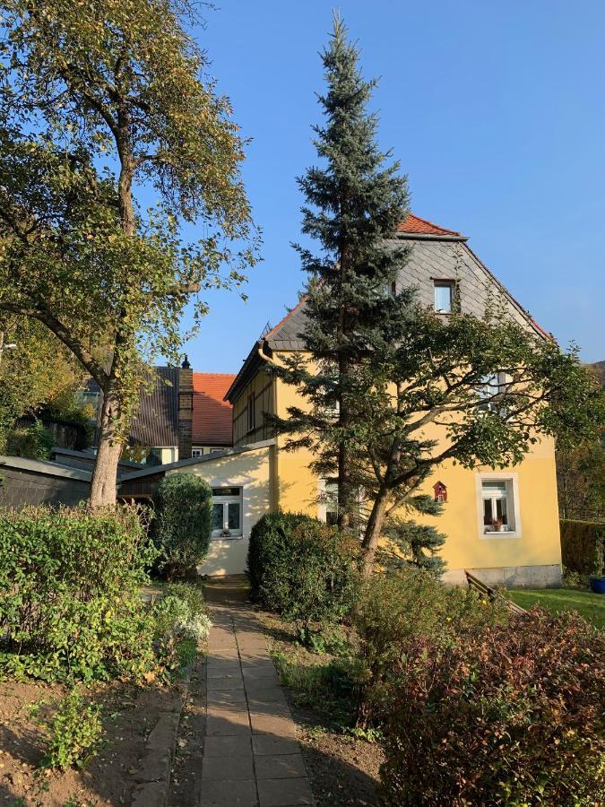 Apartamento Ferienhaus Elbufer 83 Bad Schandau Exterior foto