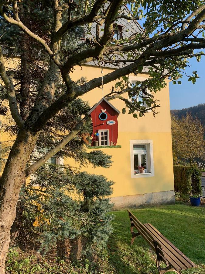 Apartamento Ferienhaus Elbufer 83 Bad Schandau Exterior foto