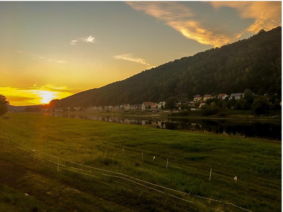 Apartamento Ferienhaus Elbufer 83 Bad Schandau Exterior foto